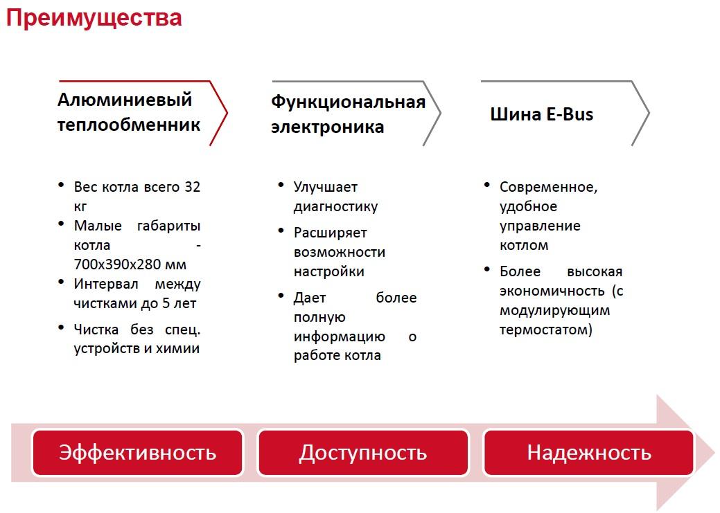 Газовый котел Protherm Рысь