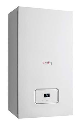 Газовый котел Protherm Рысь