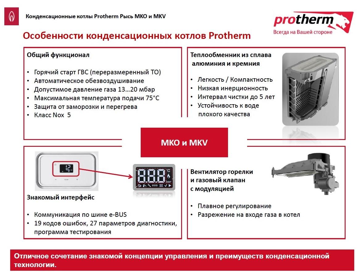 Газовый котел Protherm Рысь