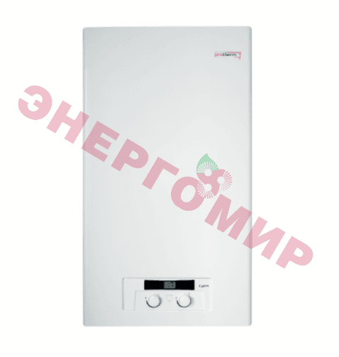Газовый котел Protherm Рысь НК